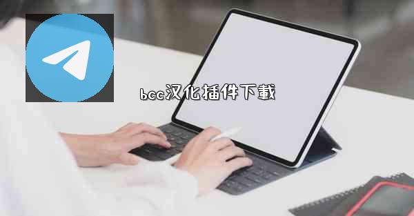 bcc汉化插件下載